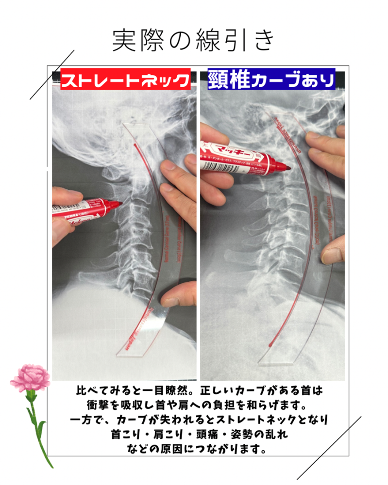 ここがポイント！